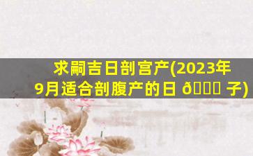 求嗣吉日剖宫产(2023年9月适合剖腹产的日 🐋 子)